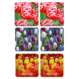 Typisch Hollands Coasters - Tulips - Holland - 2 assorted Holland
