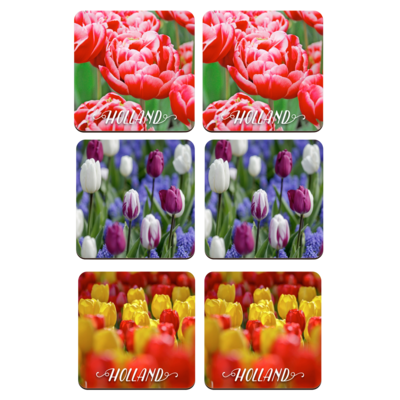 Typisch Hollands Coasters - Tulips - Holland - 2 assorted Holland