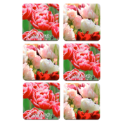 Typisch Hollands Coasters - Tulips - Holland - 2 assorted Holland