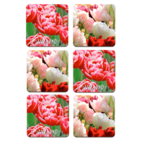 Typisch Hollands Untersetzer - Tulpen - Holland - 2 sortiert Holland