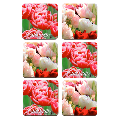 Typisch Hollands Coasters - Tulips - Holland - 2 assorted Holland