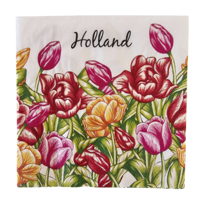 TTD Gifts Holland-Servietten mit roten und rosa Tulpen.