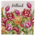 TTD Gifts Holland napkins with red and pink tulips.