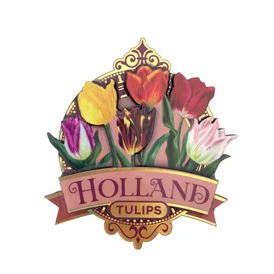 Typisch Hollands Holland-Geschenkset – Becher und Dose mit Stroopwafels – Pretty Tulips – in luxuriöser Geschenkbox