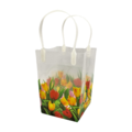 Typisch Hollands Geschenktas - Transparant  Tulpen - Klein