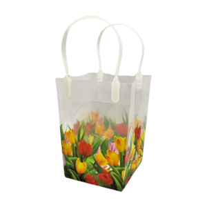 Typisch Hollands Geschenktüte - Transparente Tulpen - Klein
