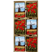 Typisch Hollands Chocolate - Holland - Mill and Tulips - in Luxury sliding box