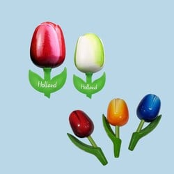 Wooden Tulips - Magnets