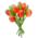 Typisch Hollands Boeket houten Tulpen