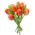 Typisch Hollands Bouquet of wooden tulips