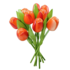 Typisch Hollands Houten Tulpen