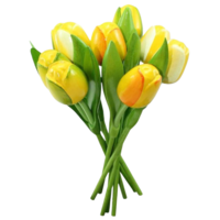 Typisch Hollands Bouquet wooden Tulips