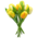 Typisch Hollands Boeket houten Tulpen