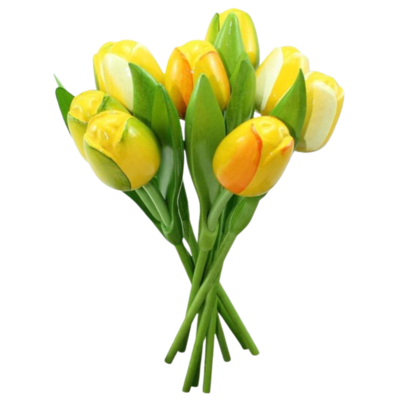 Typisch Hollands Tulpen aus Holz