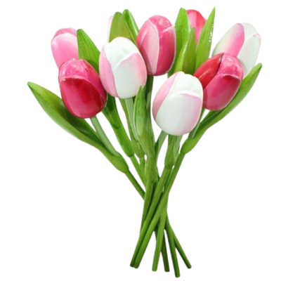 Nijhuis  Houten Tulpen