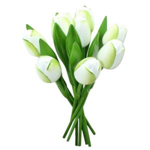 Nijhuis  Boeket Houten Tulpen