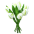 Nijhuis  Wooden Tulips