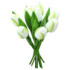 Typisch Hollands Houten Tulpen