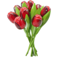 Typisch Hollands Bouquet of Wooden Tulips