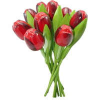 Nijhuis  Boeket Houten Tulpen