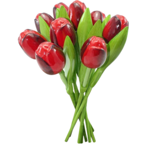 Typisch Hollands Strauß hölzerner Tulpen