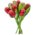 Nijhuis  Bouquet of Wooden Tulips