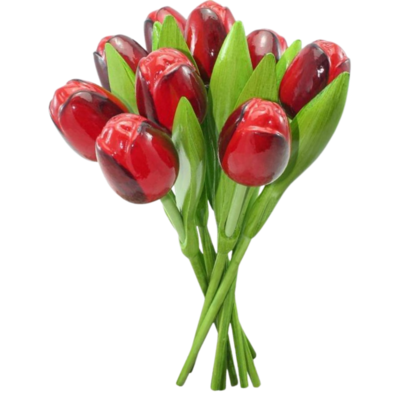 Nijhuis  Houten Tulpen