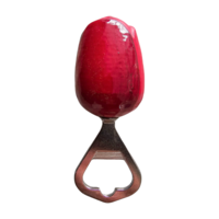 Nijhuis  Tulpe - Eröffnungsspiel - Holland - Rot