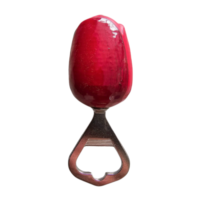 Nijhuis  Tulpe - Eröffnungsspiel - Holland - Rot