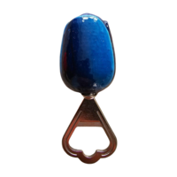 Nijhuis  Tulip - opener - Holland - Blue
