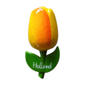 Typisch Hollands Magnet Tulpe groß