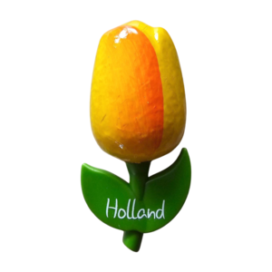 Typisch Hollands Magneet Tulp Groot Geel/Orange