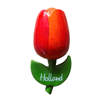 Typisch Hollands Magnet-Tulpe - groß
