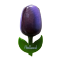 Typisch Hollands Tulip Magnet - Große
