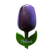 Typisch Hollands Magneet Tulp - Groot Aubergine