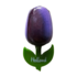 Typisch Hollands Magneet Tulp - Groot Aubergine