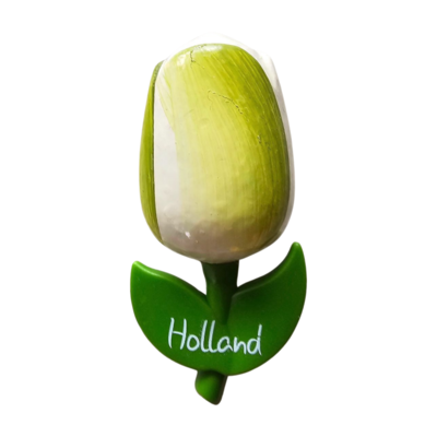 Typisch Hollands Magneet Tulp - Groot Wit