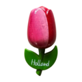 Typisch Hollands Magnet Tulip - Large Red-White