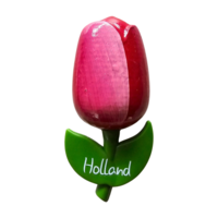 Typisch Hollands Magneet Tulp - Groot Rood-Wit