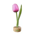 Typisch Hollands Wooden tulip on foot Pink-white