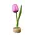 Typisch Hollands Houten tulp op voet Roze-wit