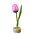 Typisch Hollands Wooden tulip on foot Pink-white