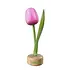 Nijhuis  Wooden tulip on stand Pink-white