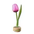 Typisch Hollands Wooden tulip on foot Pink-white