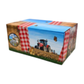 Typisch Hollands Cadeaudoos 20x31.5x15cm  - Bonte ruit - Holland - Weiland