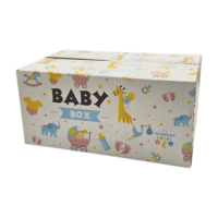 Typisch Hollands Geschenkbox 20x31,5x15cm - Baby-Box
