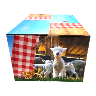 Typisch Hollands Cadeaudoos 40x30x23cm - Bonte ruit - Holland - Weiland