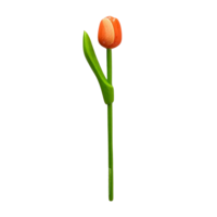 Typisch Hollands Wooden Tulip on stem Orange - White