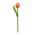 Typisch Hollands Hölzerne Tulpe auf Stiel Orange - Weiß