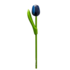 Nijhuis  Tulip on stem 20 cm Blue-White - Small